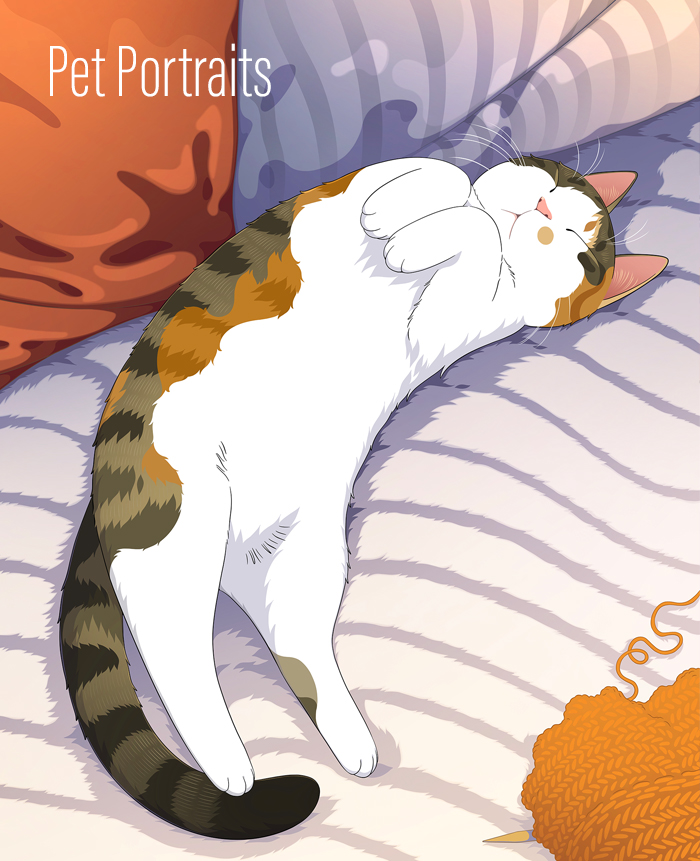Pet Portraits