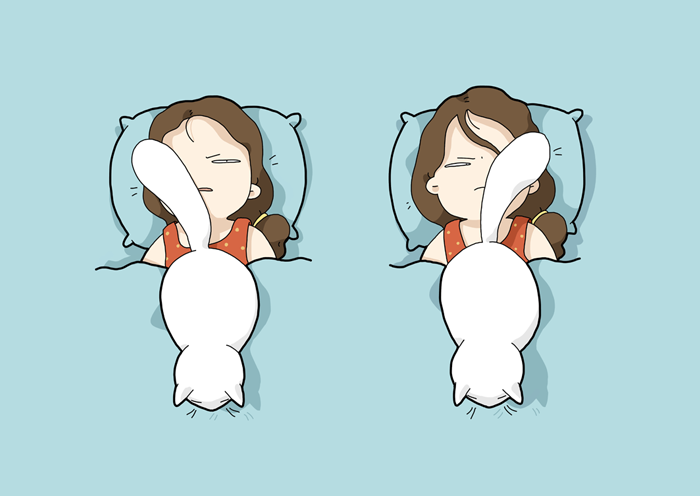 How My Cat Wakes Me Up - Lingvistov Cat Illustrations