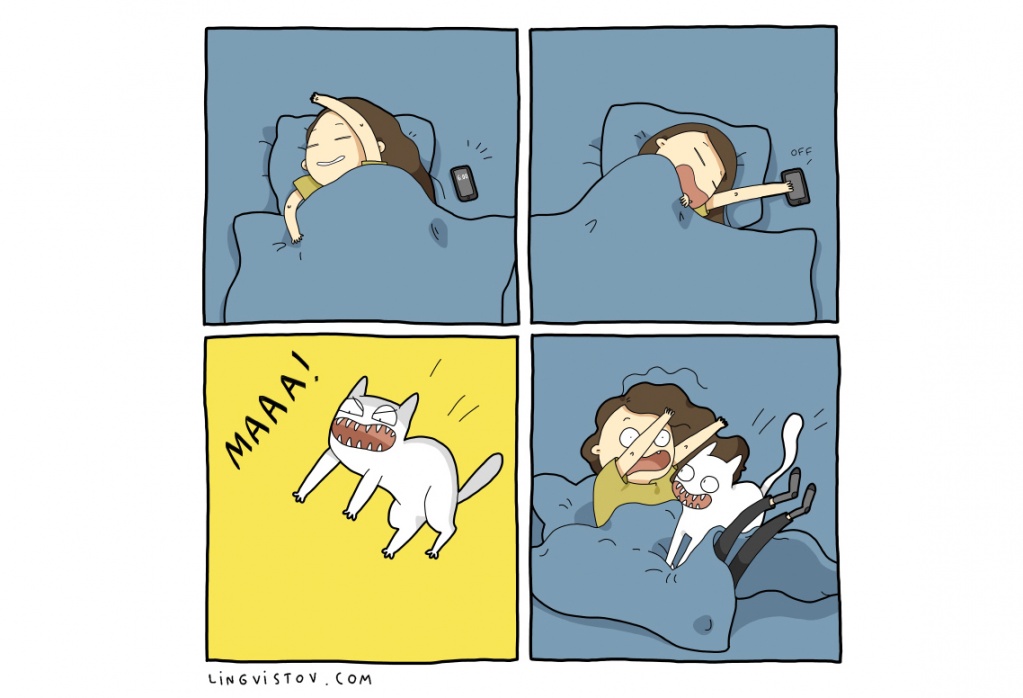 cat-comics-015.jpg