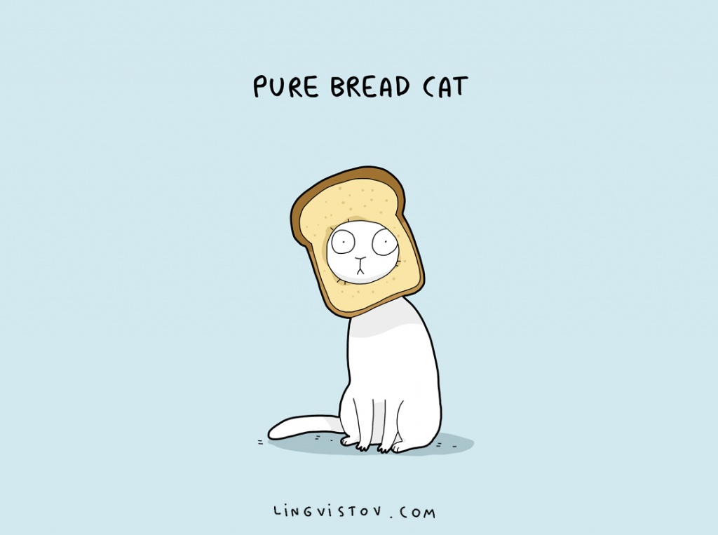cat-puns-002.jpg