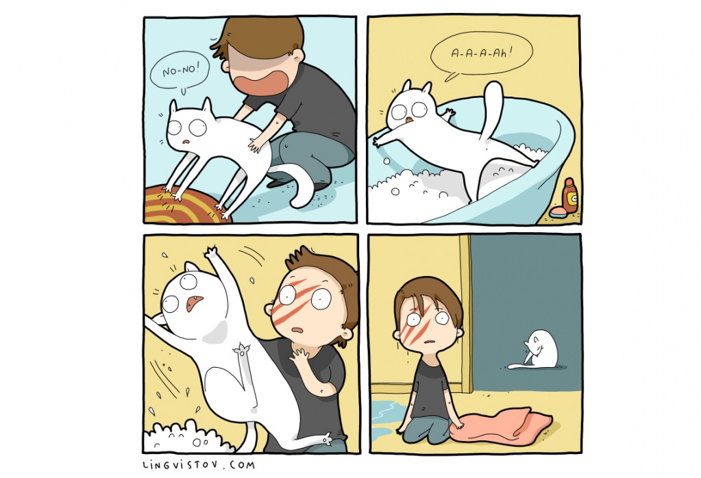 cat-comics-018.jpg