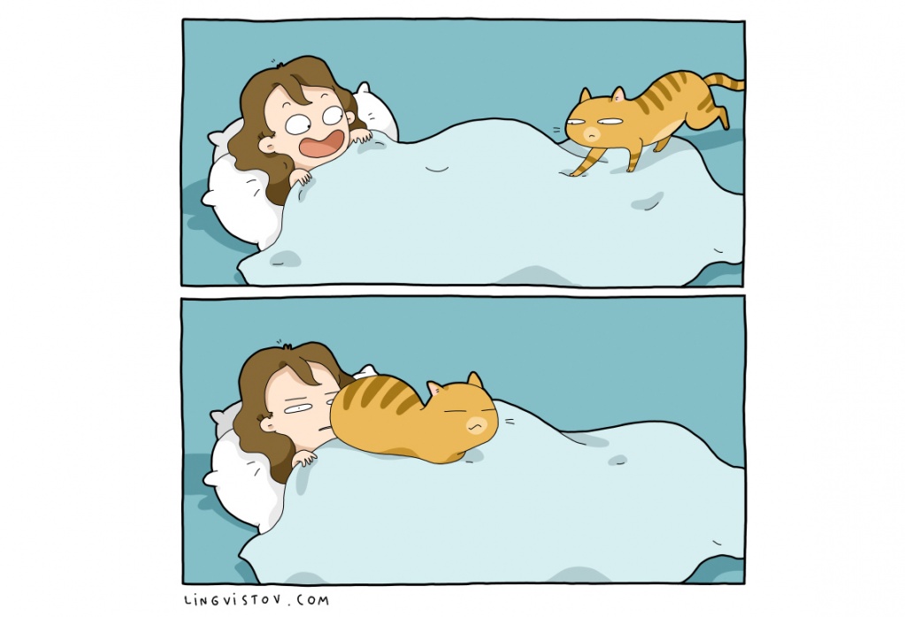 cat-comics-016.jpg