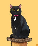 Cartoonize my pet!